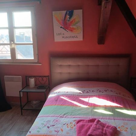 Gite Les Papillons Ribeauvillé Kültér fotó
