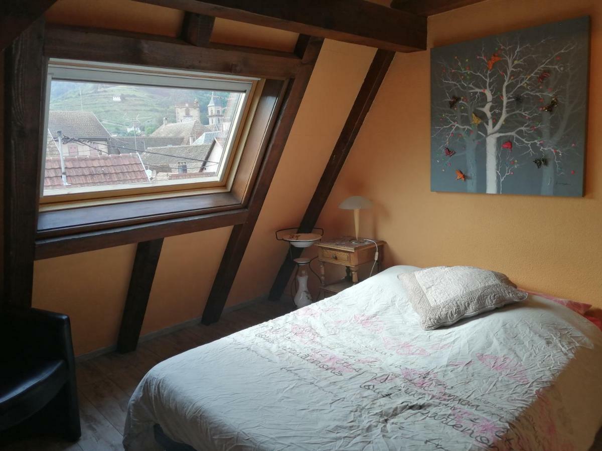 Gite Les Papillons Ribeauvillé Kültér fotó