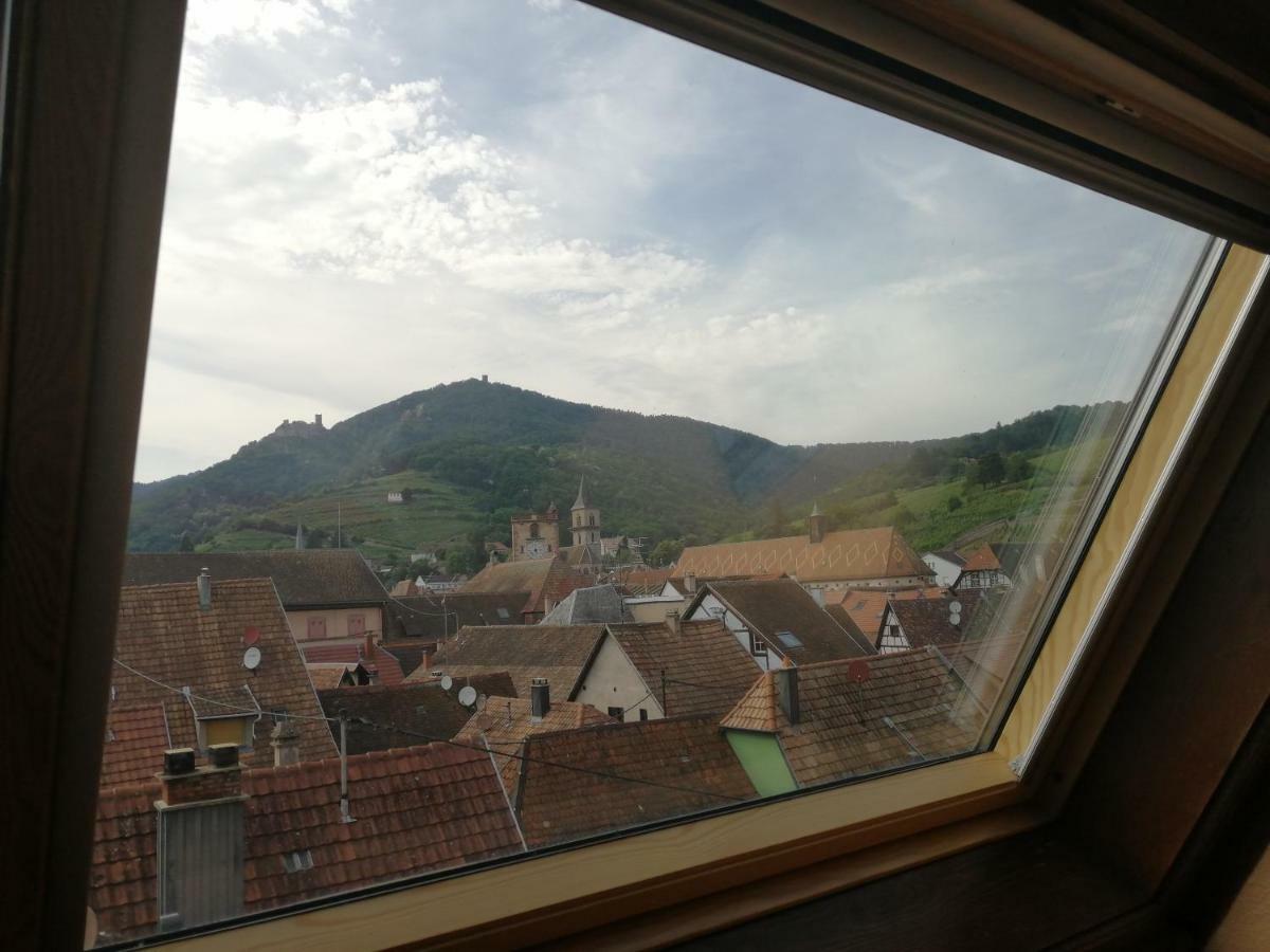 Gite Les Papillons Ribeauvillé Kültér fotó