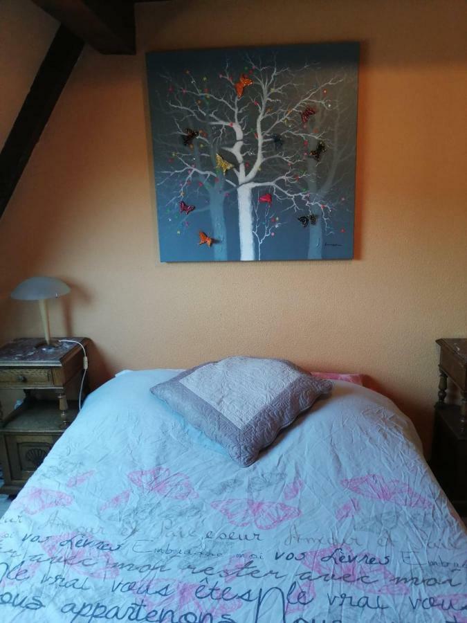 Gite Les Papillons Ribeauvillé Kültér fotó