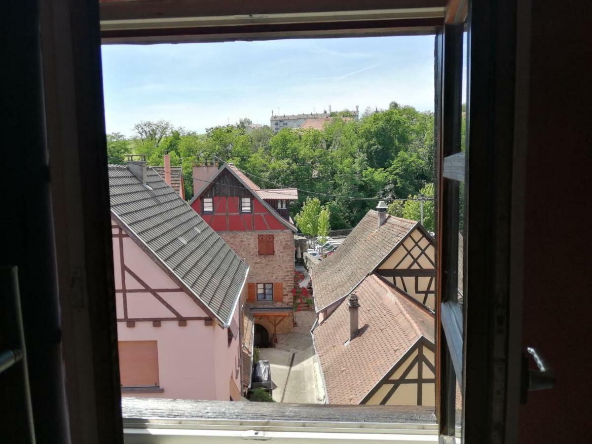 Gite Les Papillons Ribeauvillé Kültér fotó