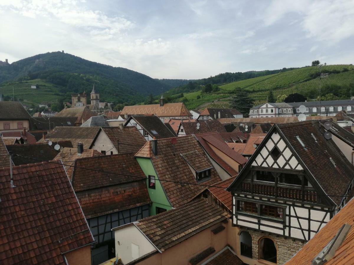 Gite Les Papillons Ribeauvillé Kültér fotó